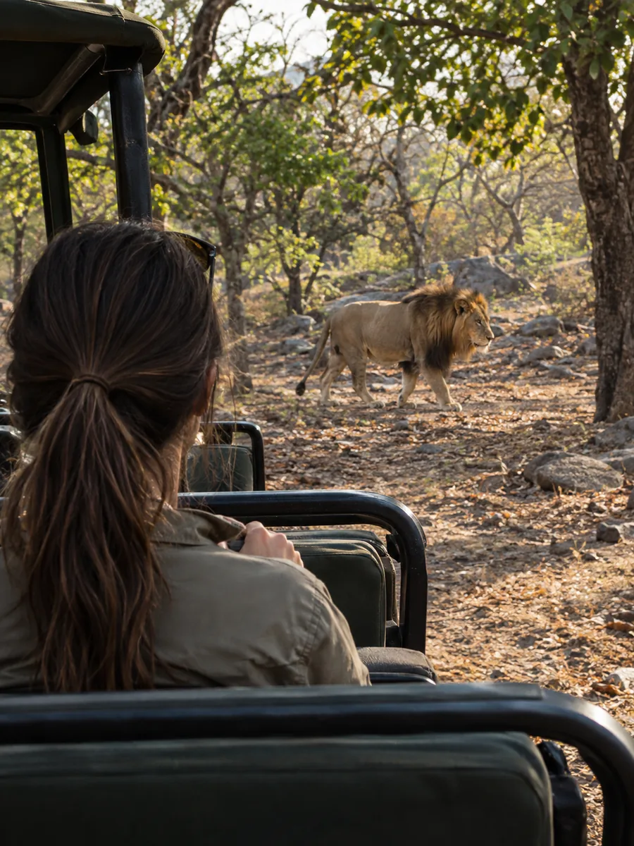 View at Gir National Park Asiatic lion jeep safaris